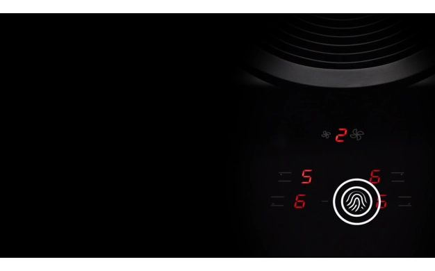 BORA Basic – Компактният аспириращ плот